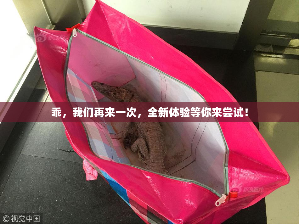 乖，我们再来一次，全新体验等你来尝试！
