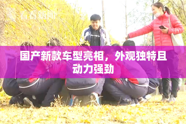国产新款车型亮相，外观独特且动力强劲