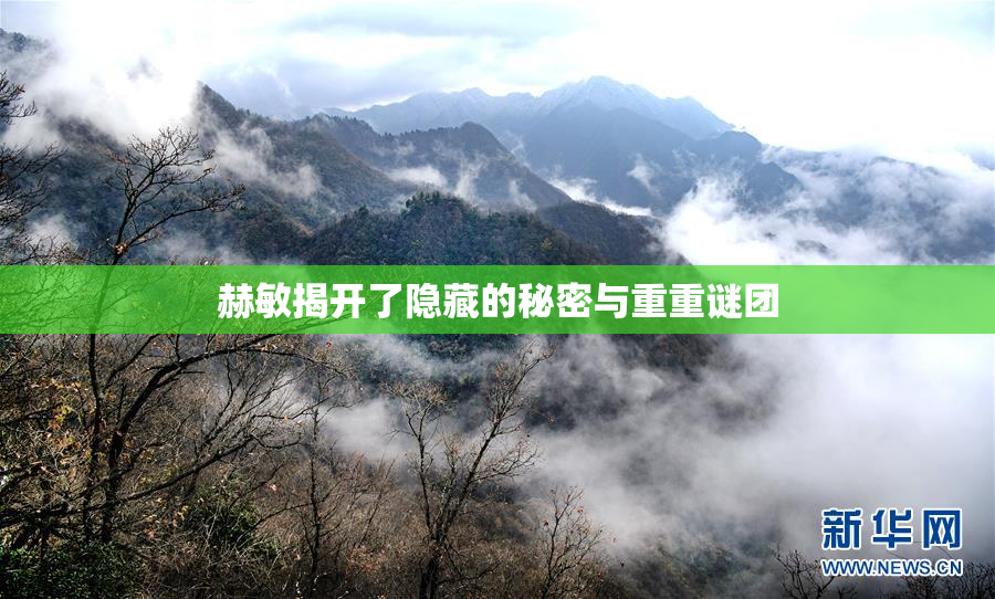 赫敏揭开了隐藏的秘密与重重谜团