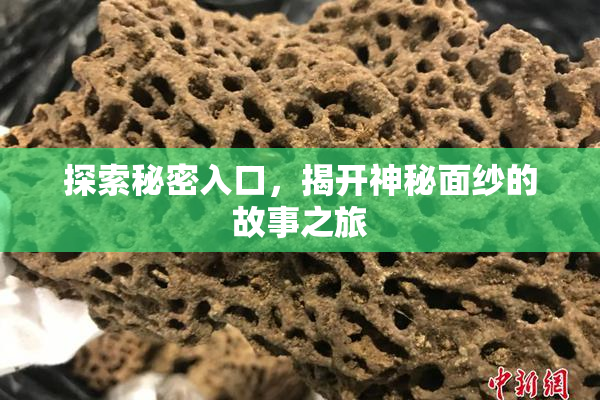 探索秘密入口，揭开神秘面纱的故事之旅