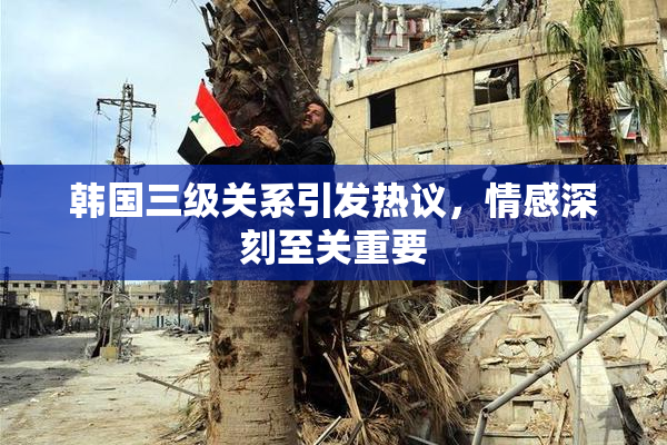 韩国三级关系引发热议，情感深刻至关重要