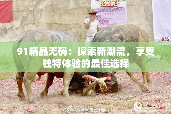 91精品无码：探索新潮流，享受独特体验的最佳选择