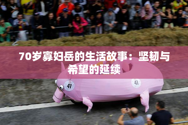 70岁寡妇岳的生活故事：坚韧与希望的延续