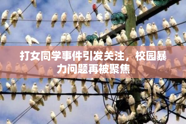 打女同学事件引发关注，校园暴力问题再被聚焦