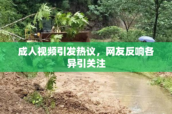 成人视频引发热议，网友反响各异引关注