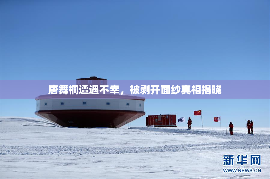 唐舞桐遭遇不幸，被剥开面纱真相揭晓