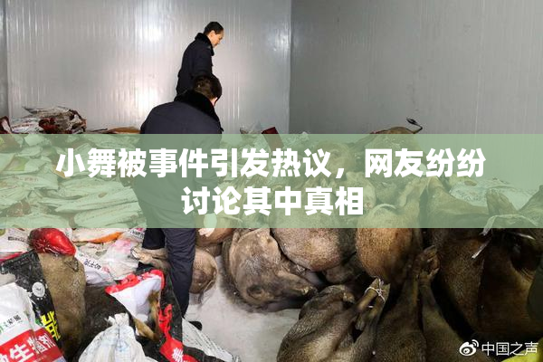 小舞被事件引发热议，网友纷纷讨论其中真相