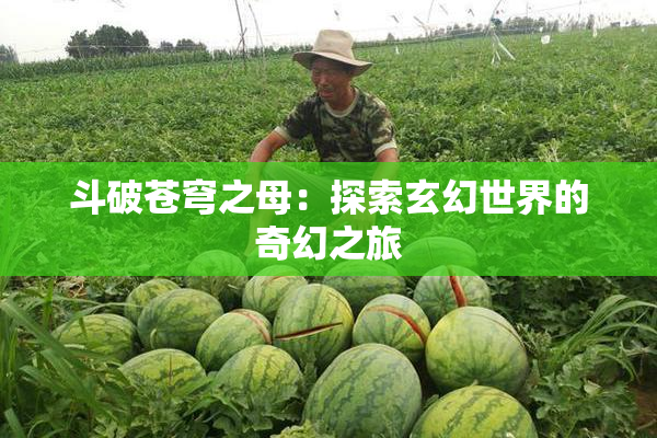 斗破苍穹之母：探索玄幻世界的奇幻之旅