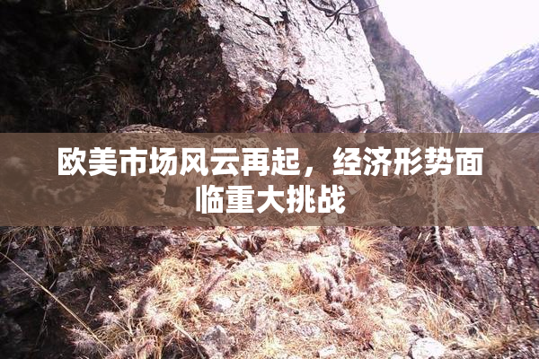 欧美市场风云再起，经济形势面临重大挑战