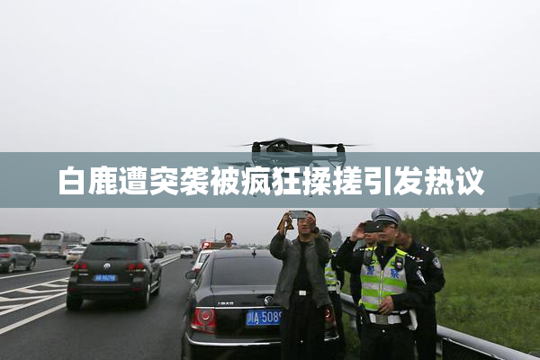 白鹿遭突袭被疯狂揉搓引发热议