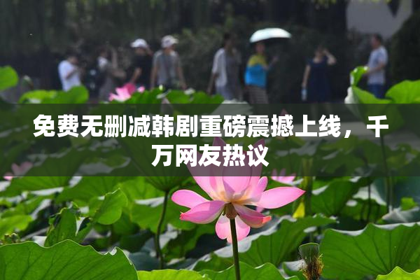 免费无删减韩剧重磅震撼上线，千万网友热议