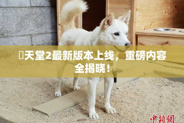 妺天堂2最新版本上线，重磅内容全揭晓！