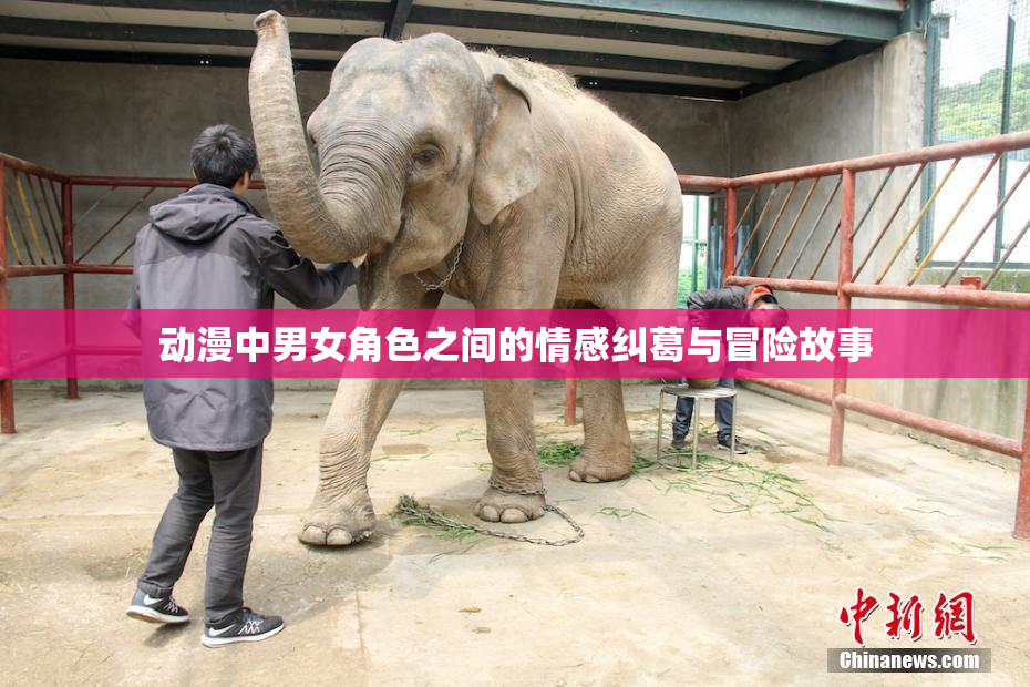 动漫中男女角色之间的情感纠葛与冒险故事