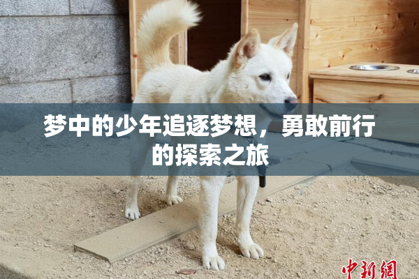 梦中的少年追逐梦想，勇敢前行的探索之旅