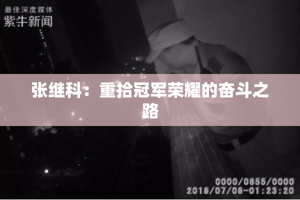 张继科：重拾冠军荣耀的奋斗之路