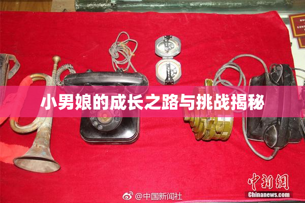 小男娘的成长之路与挑战揭秘