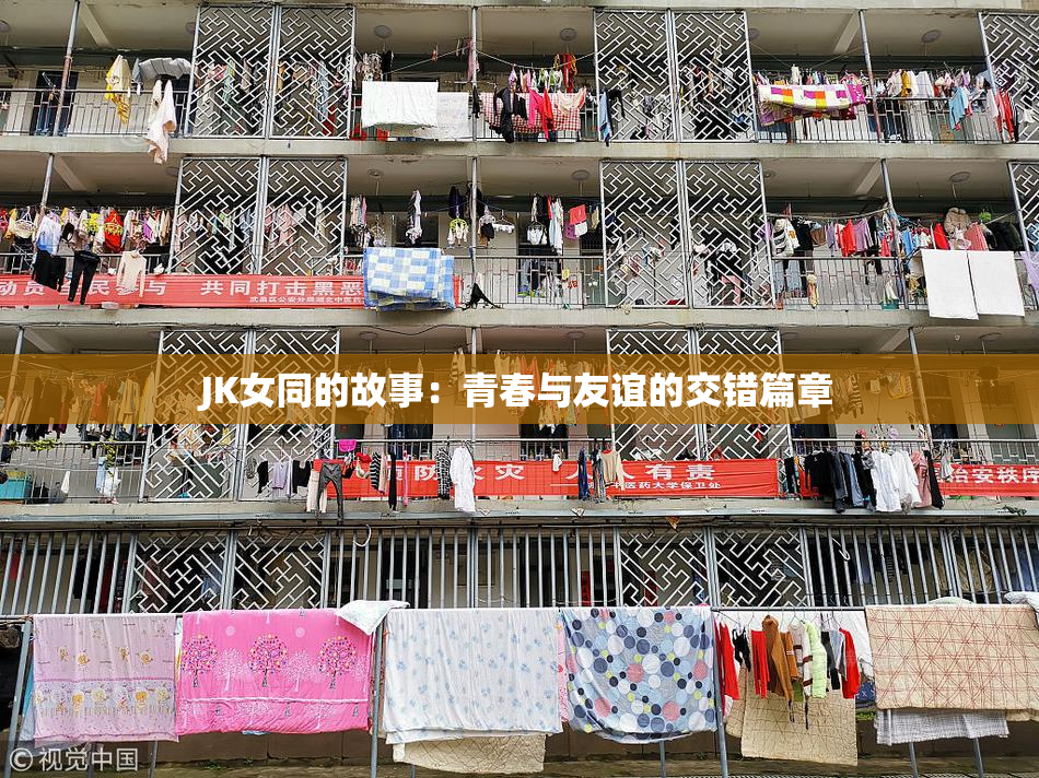 JK女同的故事：青春与友谊的交错篇章
