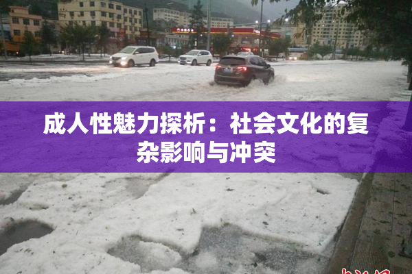 成人性魅力探析：社会文化的复杂影响与冲突