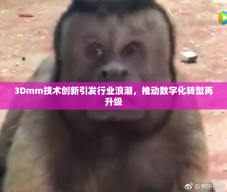 3Dmm技术创新引发行业浪潮，推动数字化转型再升级