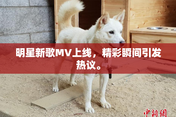 明星新歌MV上线，精彩瞬间引发热议。