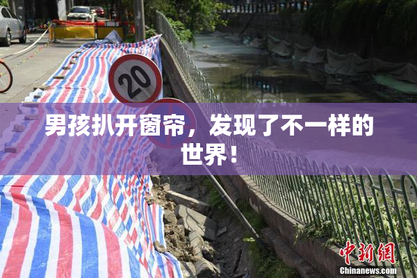 男孩扒开窗帘，发现了不一样的世界！