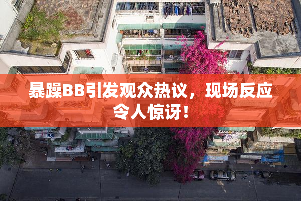 暴躁BB引发观众热议，现场反应令人惊讶！