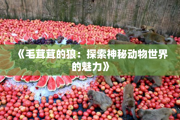 《毛茸茸的狼：探索神秘动物世界的魅力》