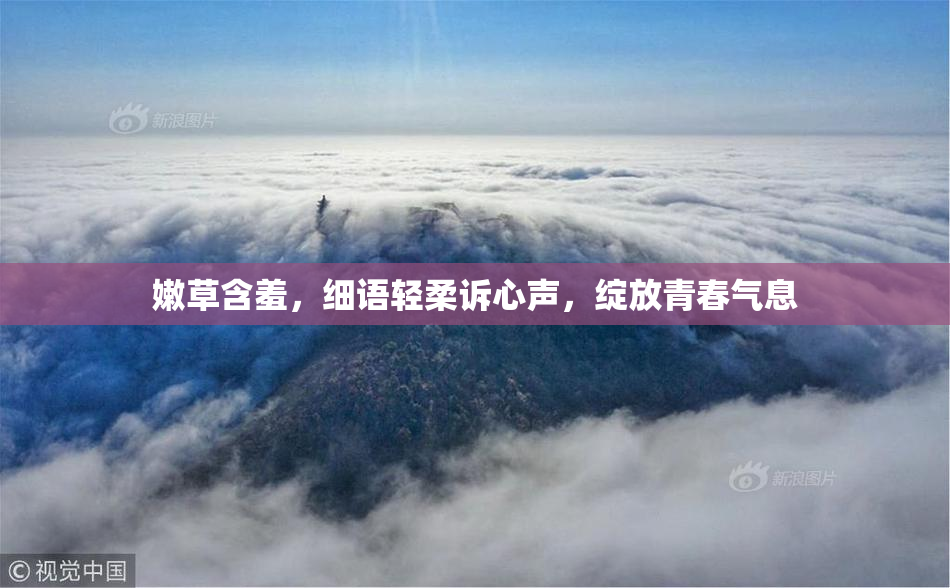嫩草含羞，细语轻柔诉心声，绽放青春气息