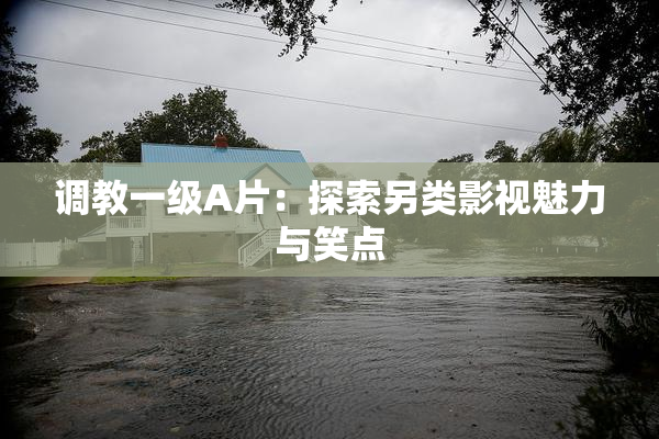 调教一级A片：探索另类影视魅力与笑点