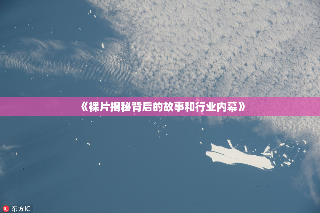 《裸片揭秘背后的故事和行业内幕》