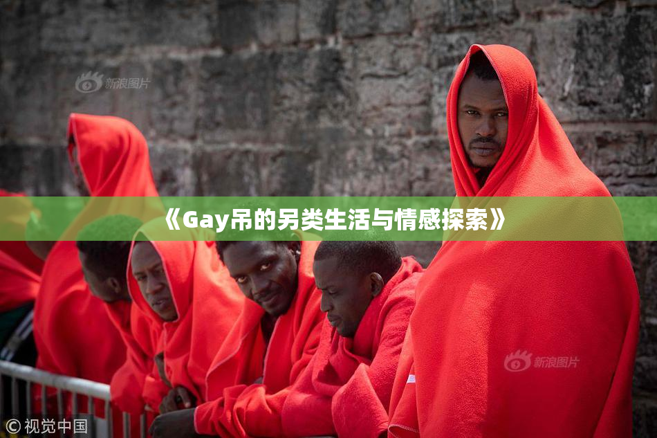 《Gay吊的另类生活与情感探索》