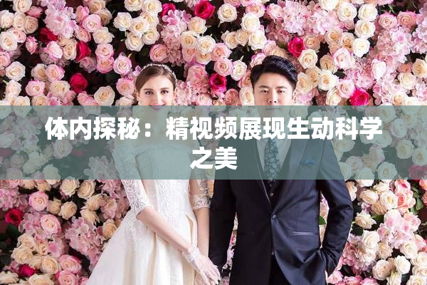 体内探秘：精视频展现生动科学之美