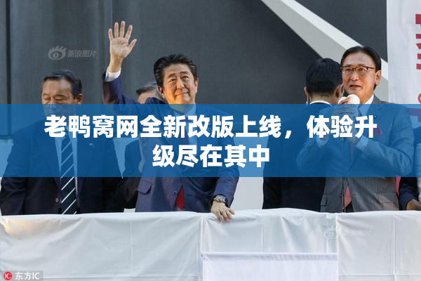 老鸭窝网全新改版上线，体验升级尽在其中