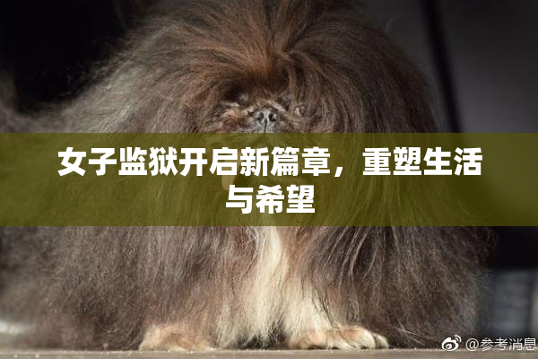 女子监狱开启新篇章，重塑生活与希望