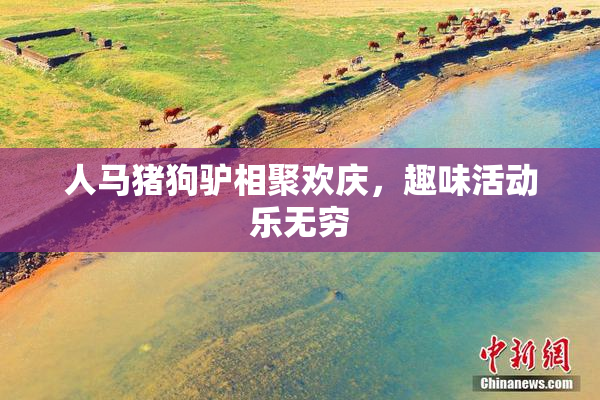人马猪狗驴相聚欢庆，趣味活动乐无穷
