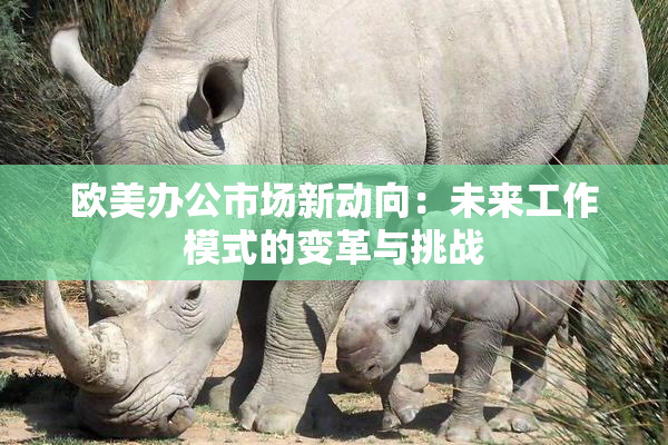 欧美办公市场新动向：未来工作模式的变革与挑战