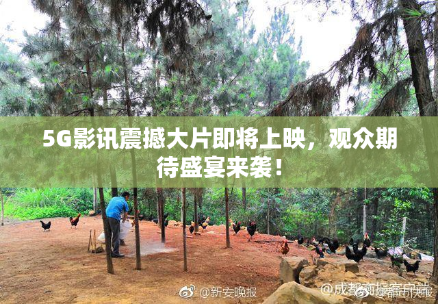 5G影讯震撼大片即将上映，观众期待盛宴来袭！