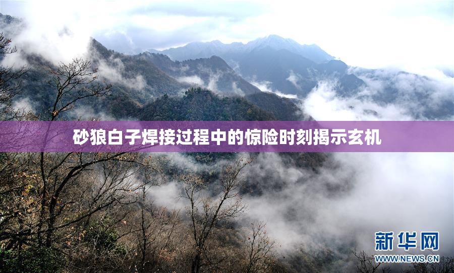 砂狼白子焊接过程中的惊险时刻揭示玄机
