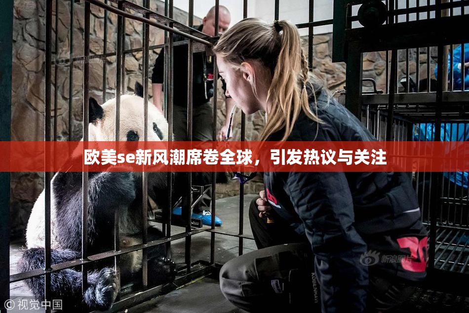 欧美se新风潮席卷全球，引发热议与关注