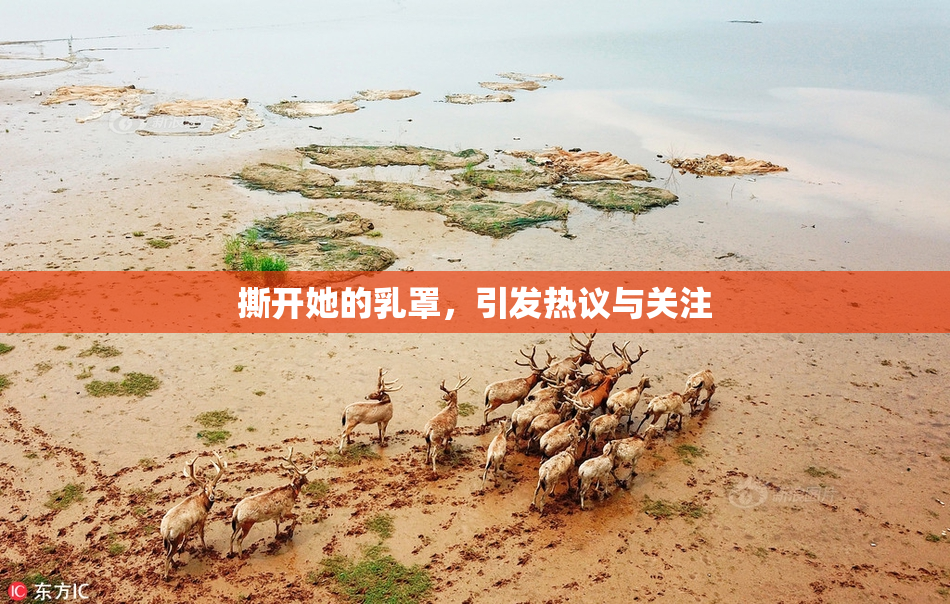 撕开她的乳罩，引发热议与关注