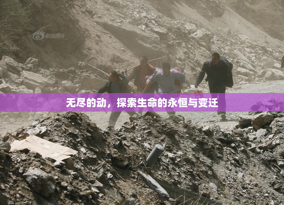 无尽的动，探索生命的永恒与变迁