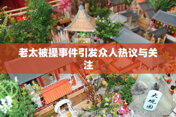 老太被搡事件引发众人热议与关注