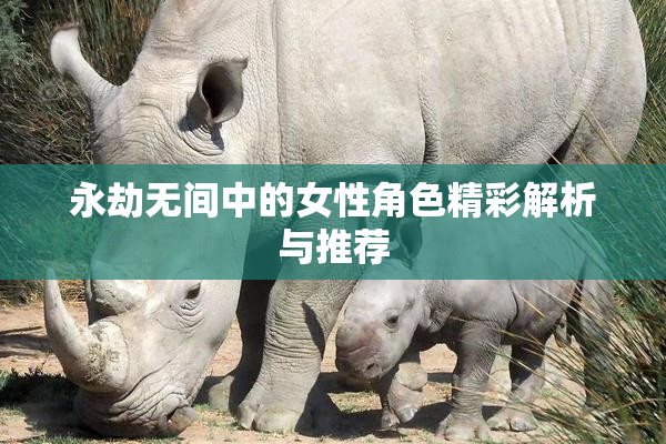 永劫无间中的女性角色精彩解析与推荐