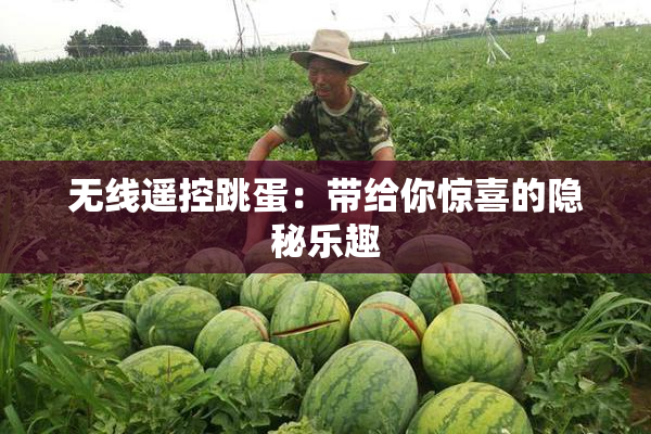 无线遥控跳蛋：带给你惊喜的隐秘乐趣