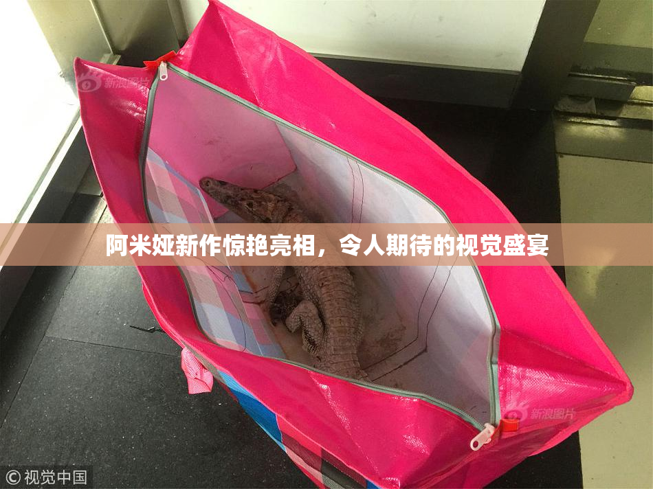 阿米娅新作惊艳亮相，令人期待的视觉盛宴