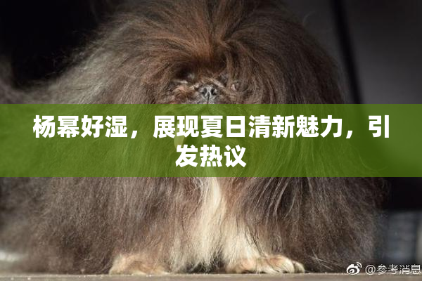 杨幂好湿，展现夏日清新魅力，引发热议