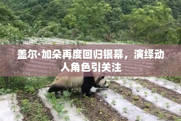 盖尔·加朵再度回归银幕，演绎动人角色引关注