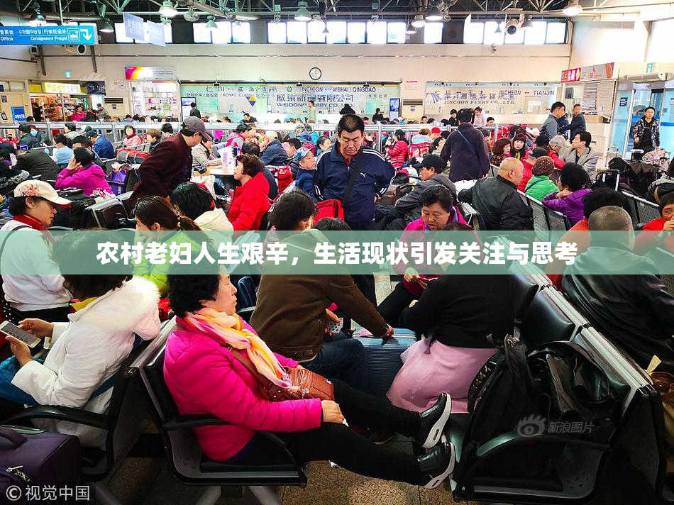 农村老妇人生艰辛，生活现状引发关注与思考