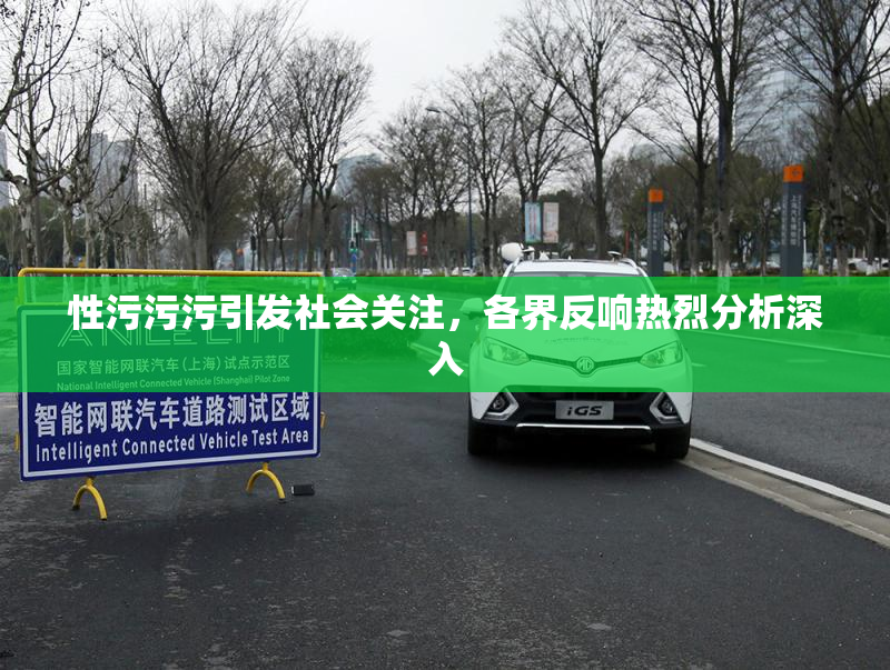 性污污污引发社会关注，各界反响热烈分析深入