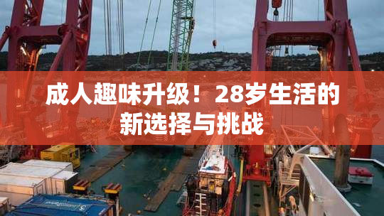 成人趣味升级！28岁生活的新选择与挑战